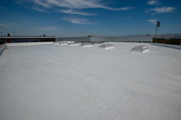 Best Roof Ventilation Installation  in Harrington, DE