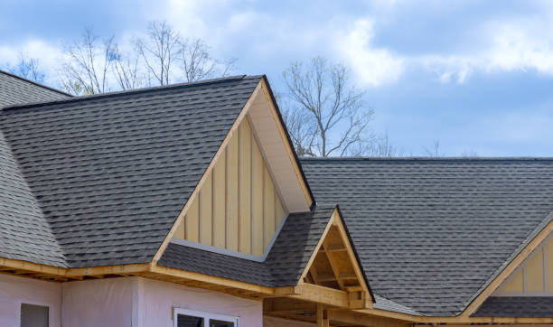 Best Roof Moss and Algae Removal  in Harrington, DE