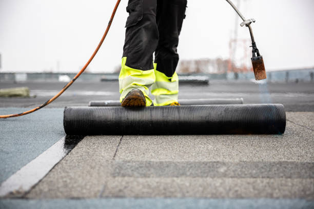 Best Roof Waterproofing  in Harrington, DE