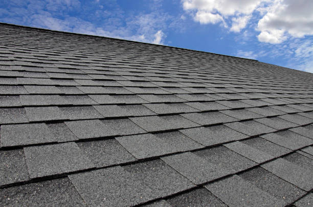 Best Asphalt Shingle Roofing  in Harrington, DE